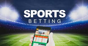 Best Crypto Sportsbooks for Beginners 12 Best Crypto Sportsbooks for Beginners 12