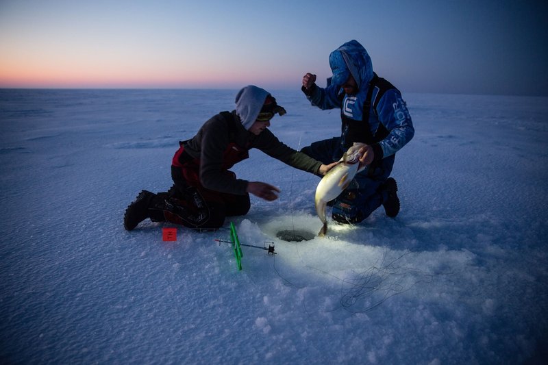 United Kigdom - ice fishing game online United Kigdom - ice fishing game online