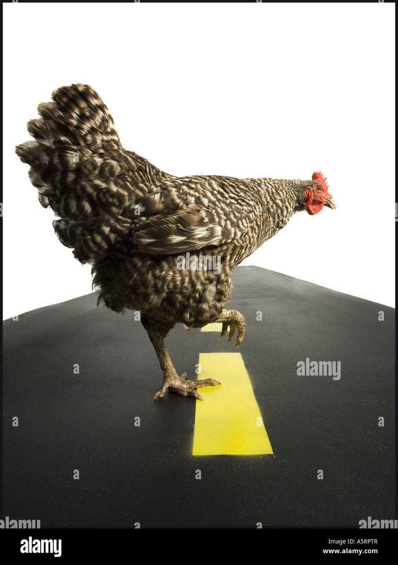 Guide de casino chicken road 2 Guide de casino chicken road 2