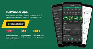 Experience Online Betting with BetWinner Your Ultimate Guide Experience Online Betting with BetWinner Your Ultimate Guide